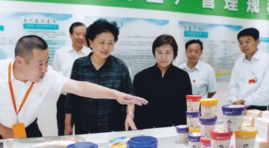 原中共中央政治局委員、國務(wù)院副總理劉延?xùn)|視察我公司